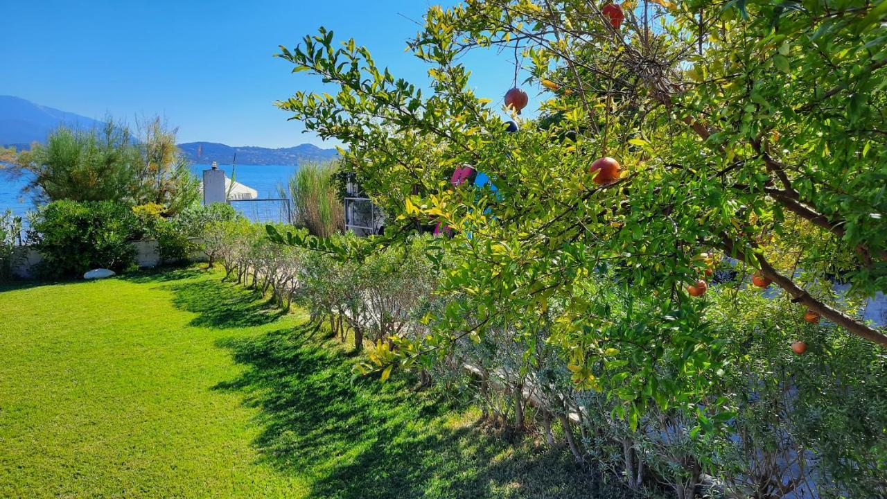 Alekos Beach Houses-Alekos Beach Complex Lixouri Buitenkant foto